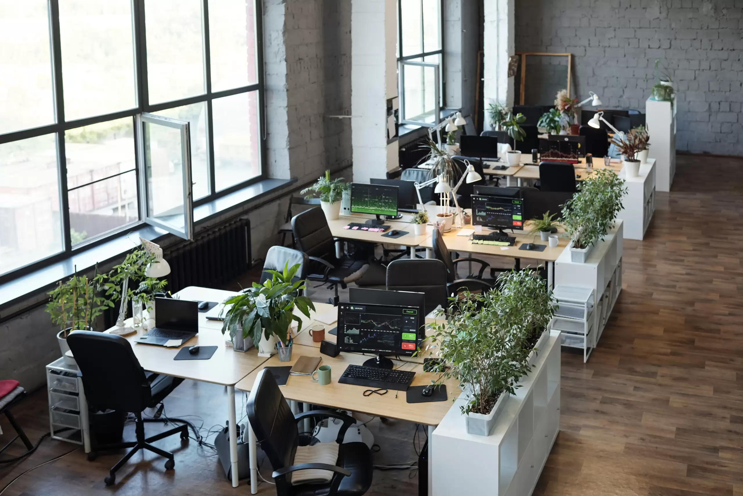 Espacios de Coworking